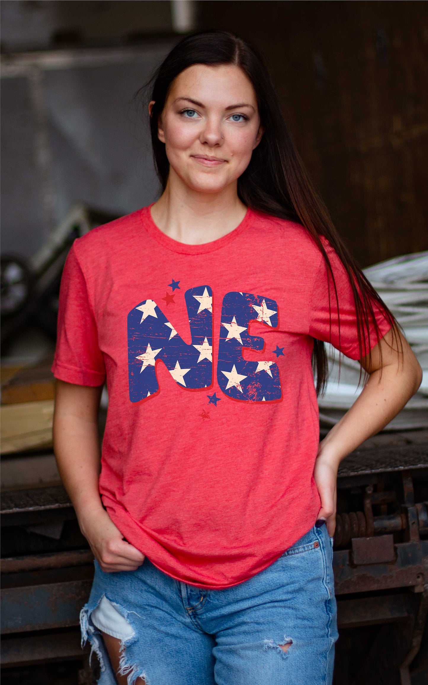 NE Patriotic Star Distressed, Nebraska Flag Stars Design, Nebraska png, American Digital Download
