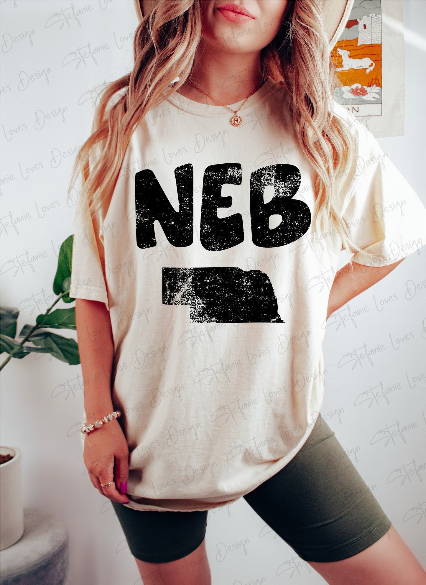 Nebraska png, NEB Distressed State, png, Nebraska Shirt, Digital Design, State of Nebraska, NE
